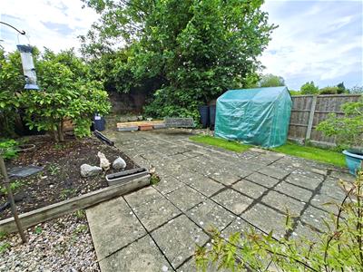 Picture 14